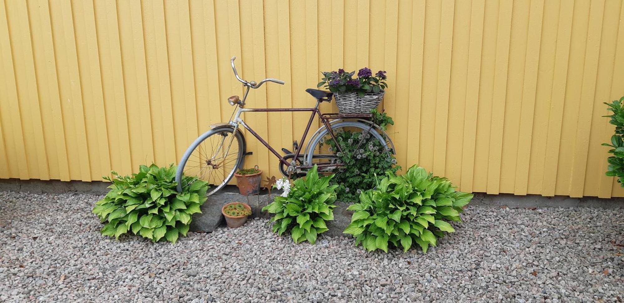 Bjoerkaengs Vandrarhem Tvååker Extérieur photo